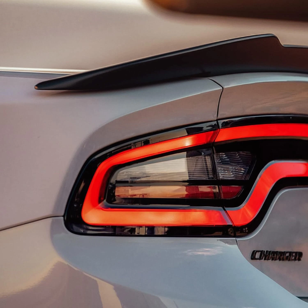 PAR CALAVERAS EXTERIORES LED